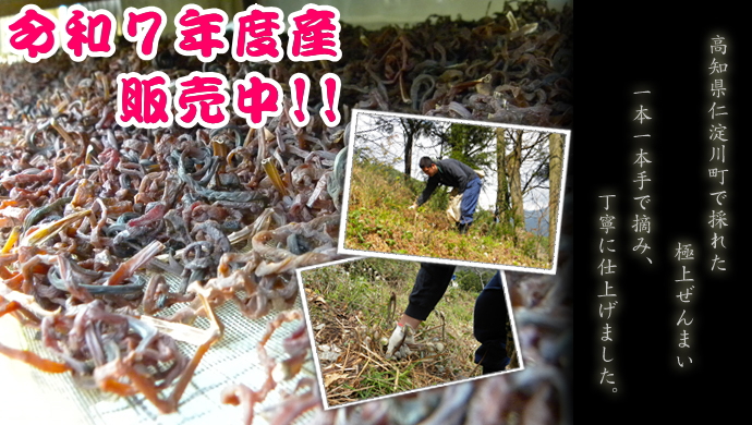 できたて乾燥ぜんまい できたて乾燥ぜんまい