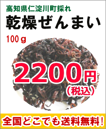 乾燥ぜんまい100g 乾燥ぜんまい100g