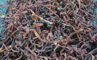 ステップ7 ステップ7