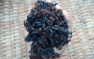 ステップ9 ステップ9