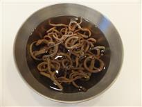 (2)洗ったぜんまいを水につけてしばらく置きます。 (2)洗ったぜんまいを水につけてしばらく置きます。