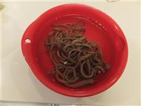 (5)(4)から2時間後水を変えます。 (5)(4)から2時間後水を変えます。