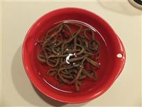 (6)(4)から5時間後水を変えます。 (6)(4)から5時間後水を変えます。