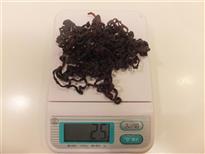 (1)乾燥ぜんまい25gを用意します。 (1)乾燥ぜんまい25gを用意します。