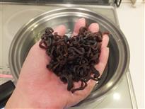 (2) 手のひらにのる程度の量です。 (2) 手のひらにのる程度の量です。